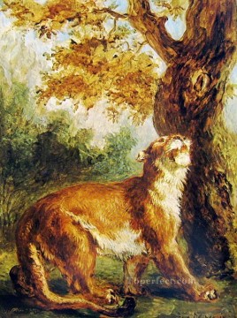 puma 1859 eugene delacroix Pinturas al óleo